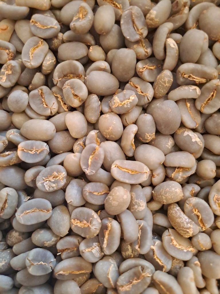 Arro Prima Global